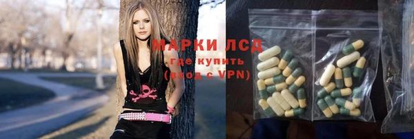 шишки Краснотурьинск