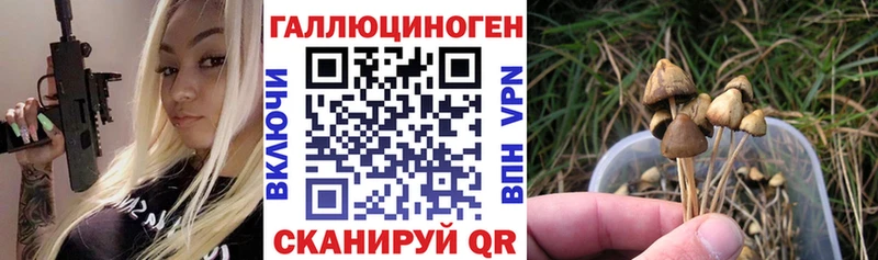 купить сайты Кукмор Галлюциногенные грибы Psilocybine cubensis